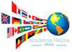 Academia Hellins